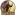 Blasphemous APK